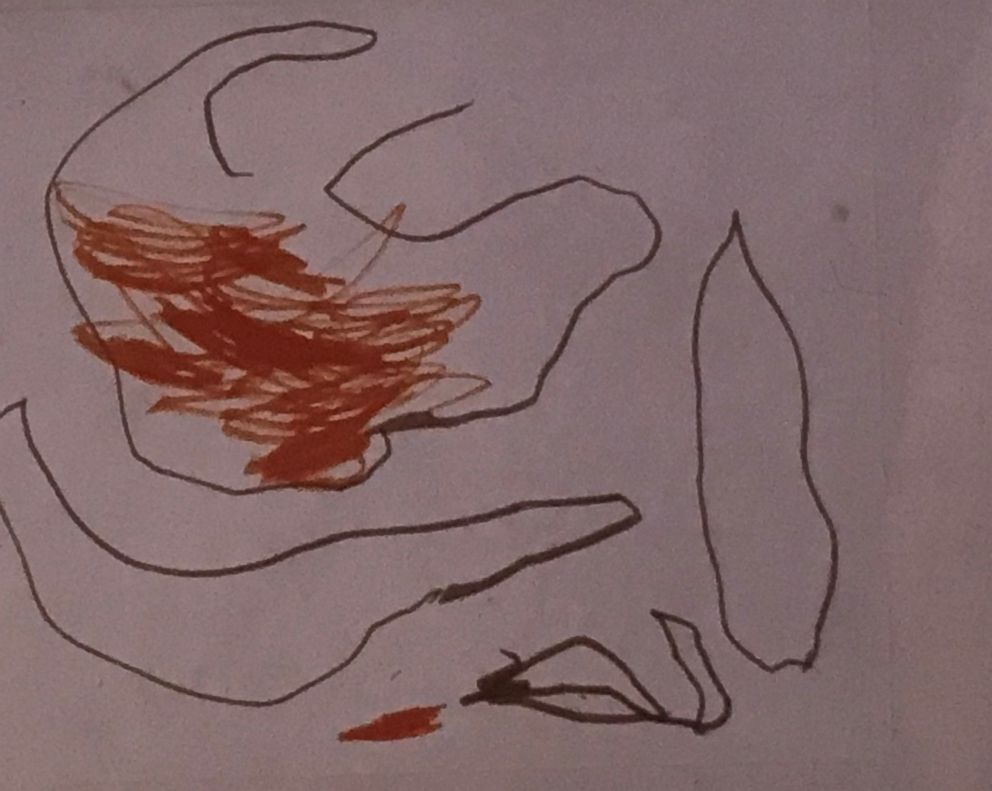 A drawing that psychiatrist Dr. Bruce Perry said one of the Branch Davidian children drew after being released from the compound.